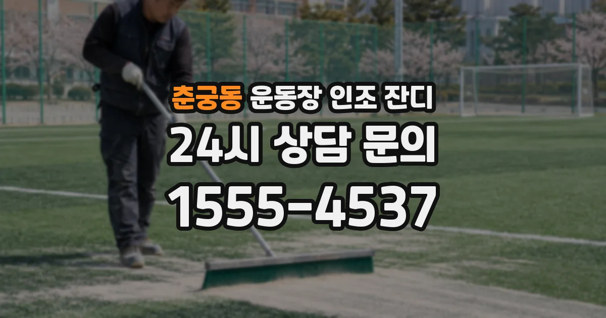 춘궁동 운동장 인조 잔디