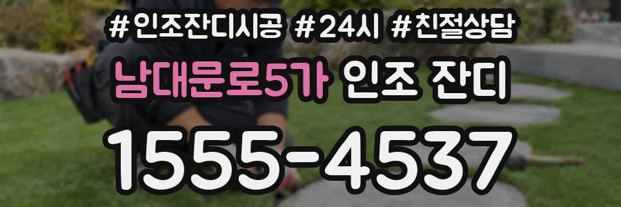 남대문로5가 인조 잔디