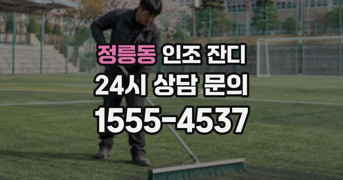 정릉동 인조 잔디
