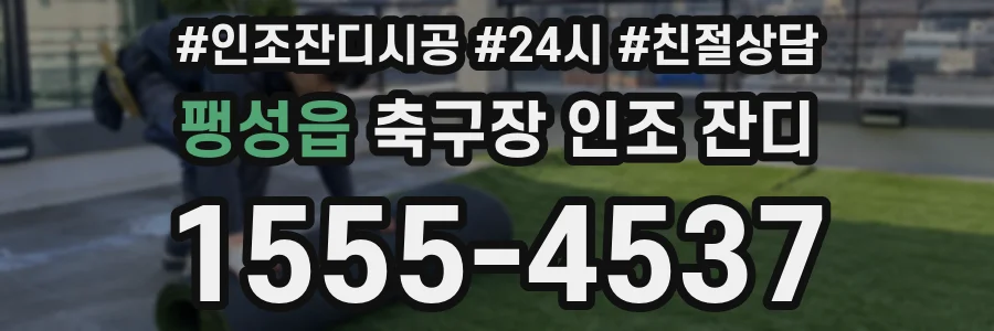 팽성읍 축구장 인조 잔디