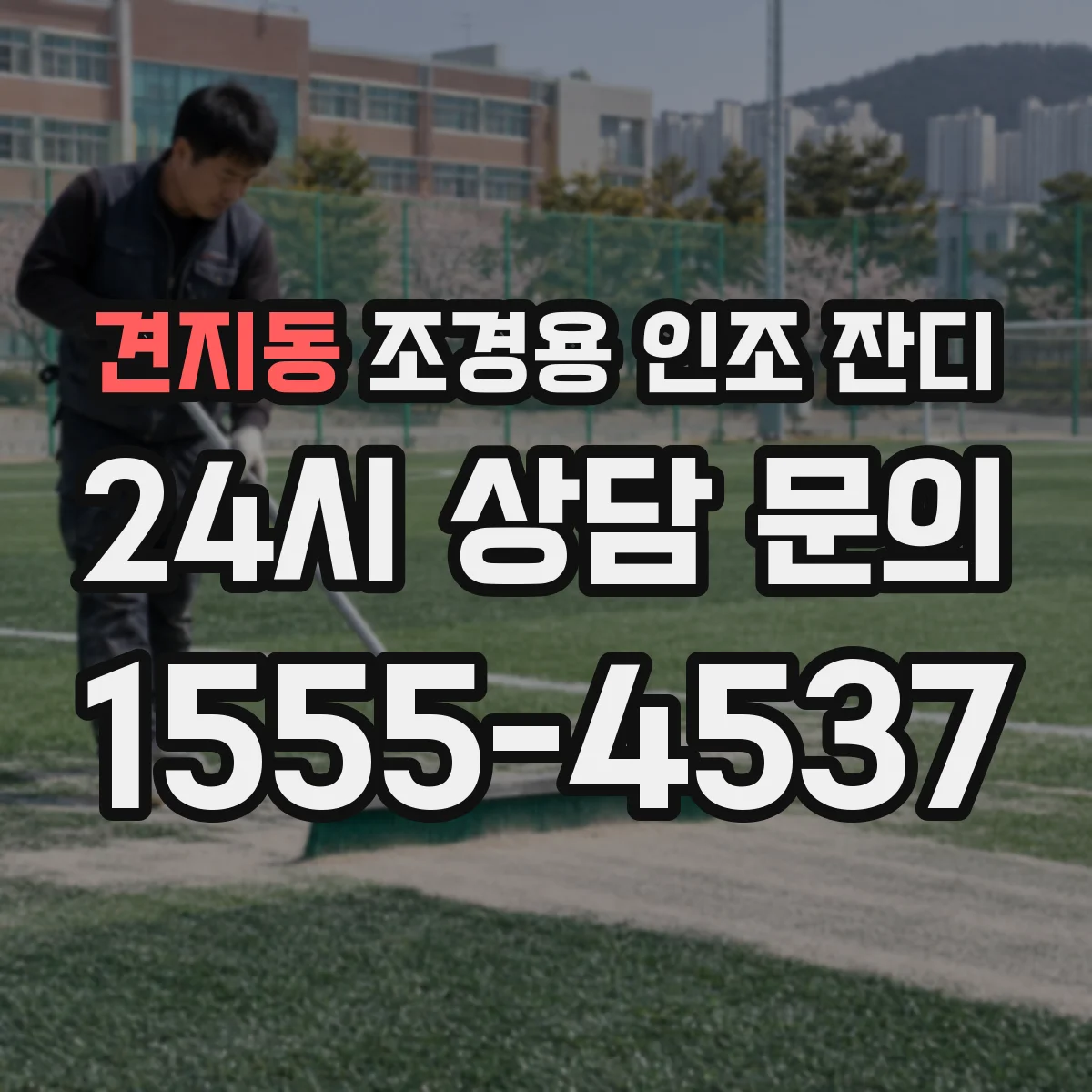 견지동 조경용 인조 잔디
