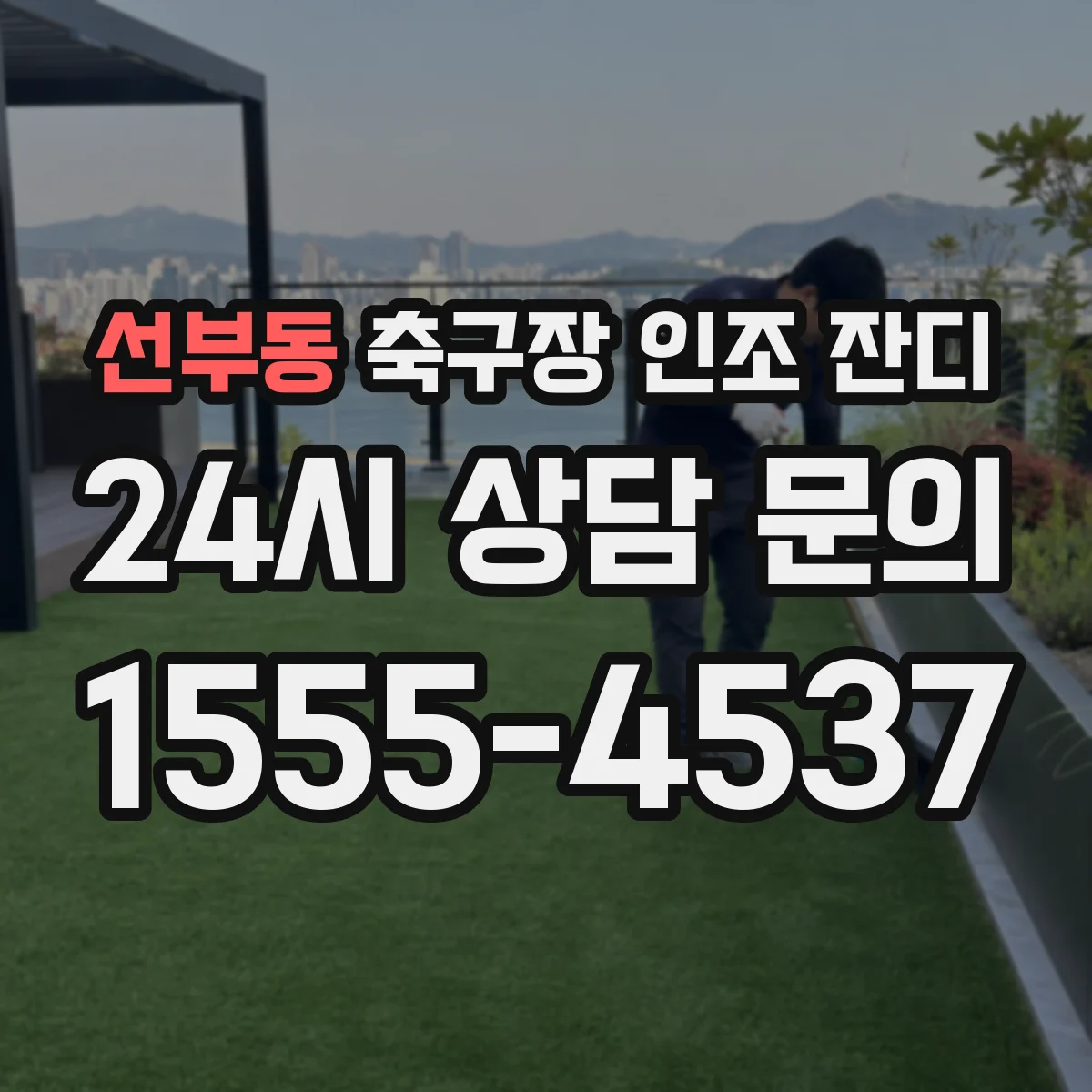 선부동 축구장 인조 잔디