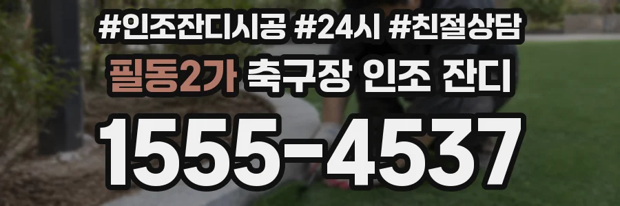 필동2가 축구장 인조 잔디
