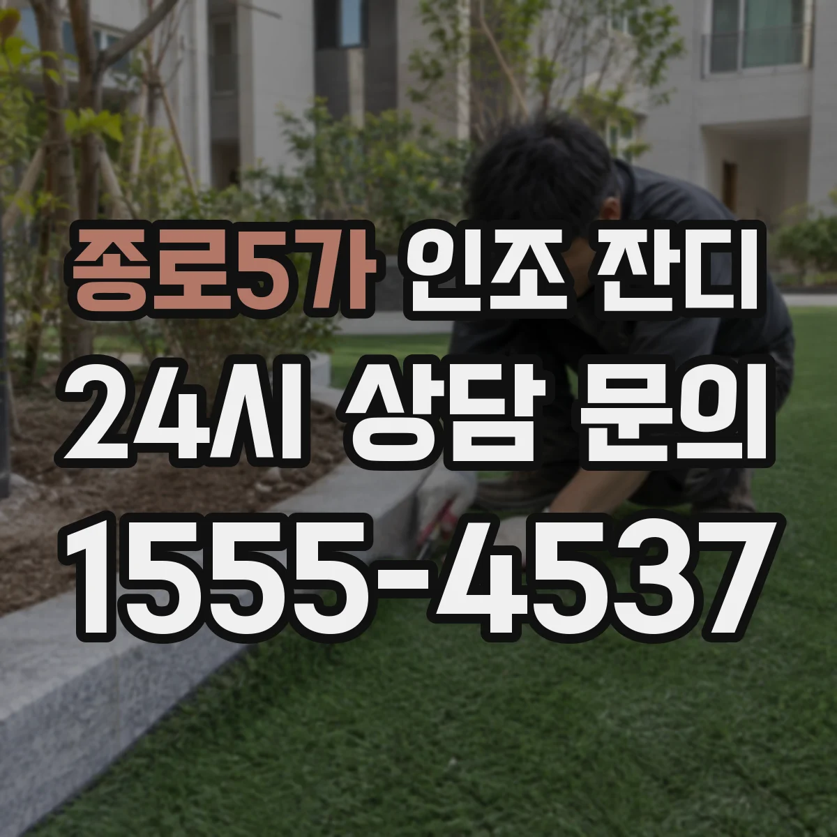 종로5가 인조 잔디