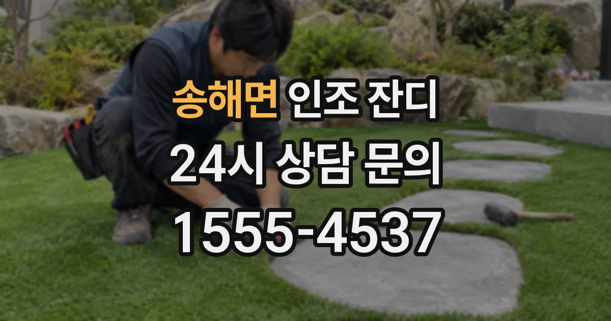 송해면 인조 잔디