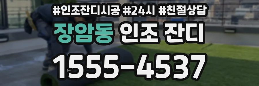 장암동 인조 잔디