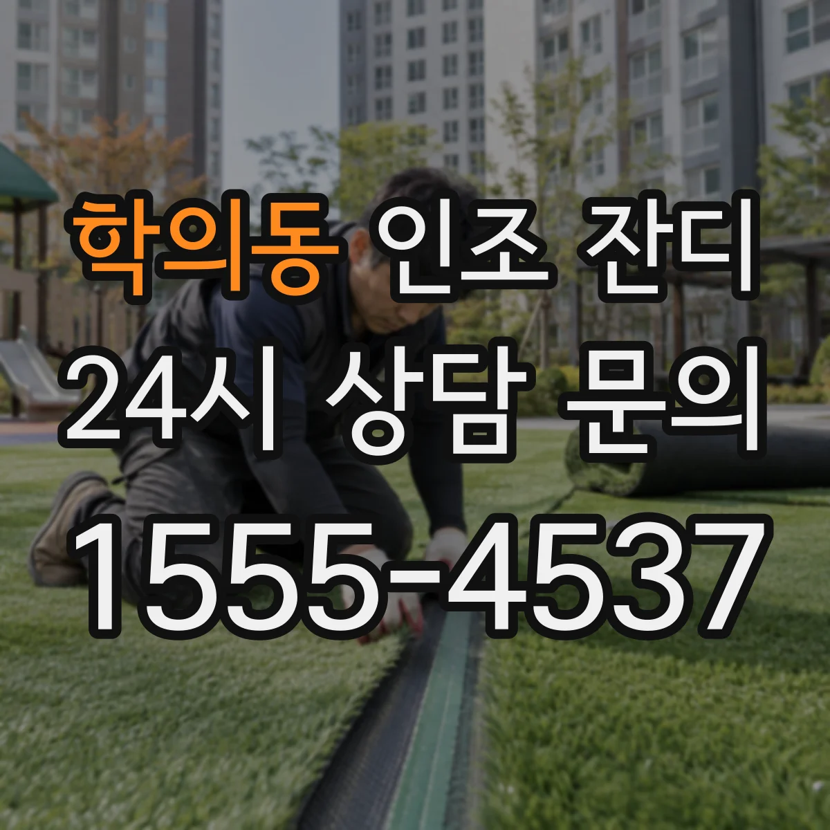 학의동 인조 잔디