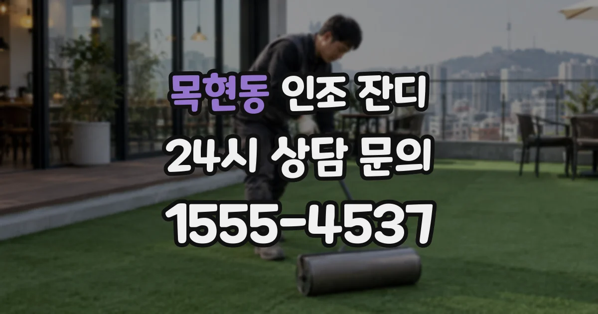목현동 인조 잔디