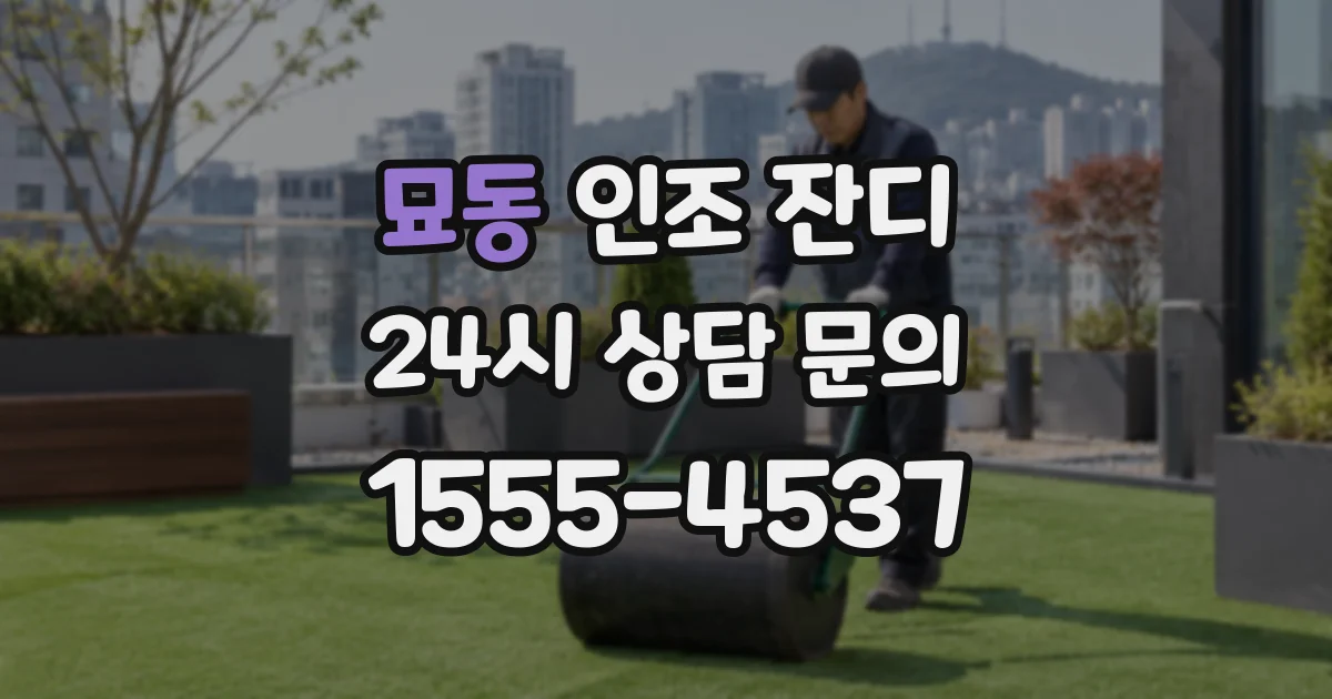 묘동 인조 잔디