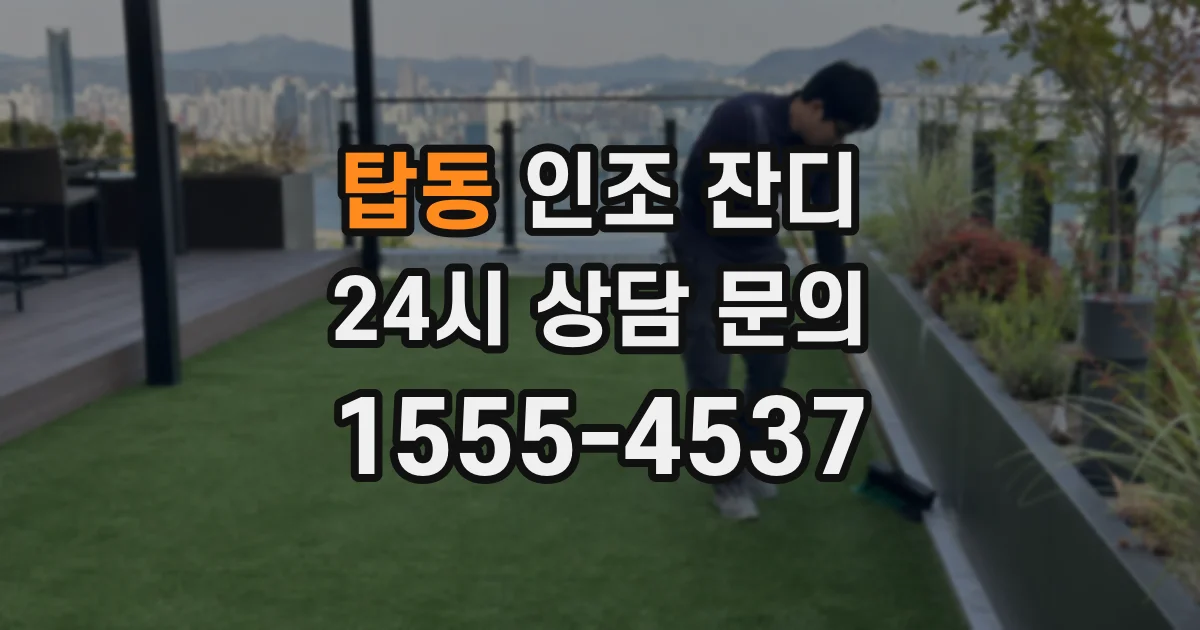 탑동 인조 잔디