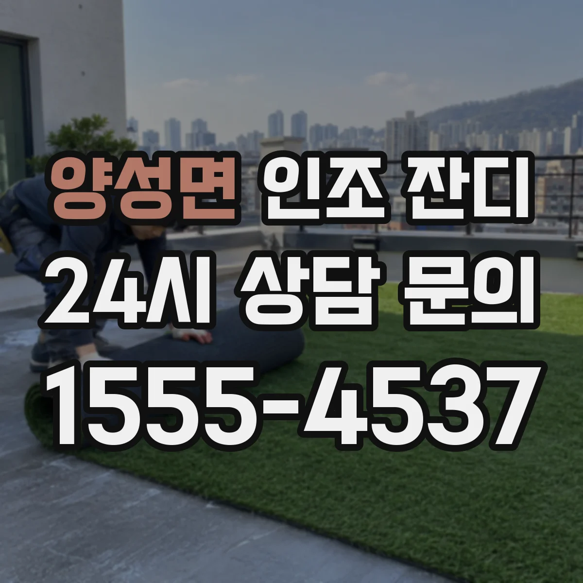 양성면 인조 잔디