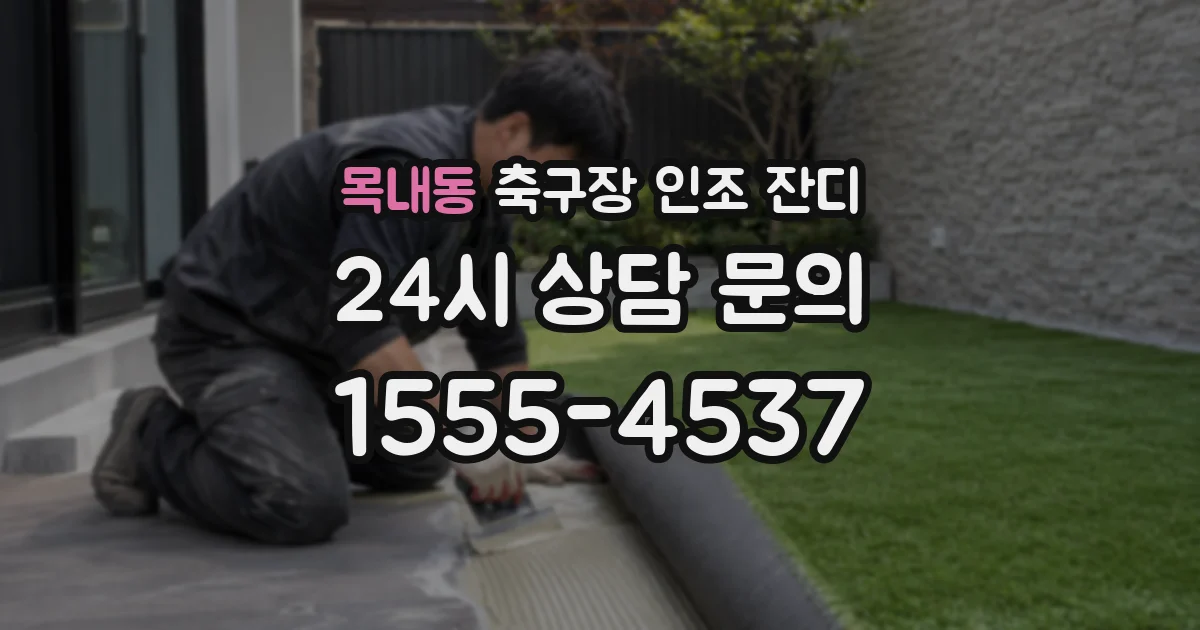 목내동 축구장 인조 잔디