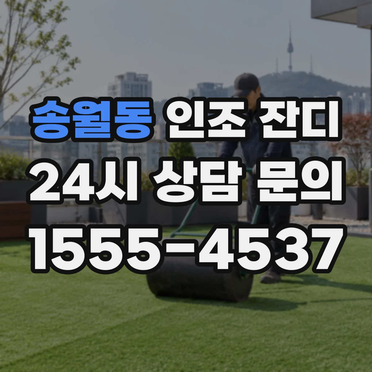 송월동 인조 잔디