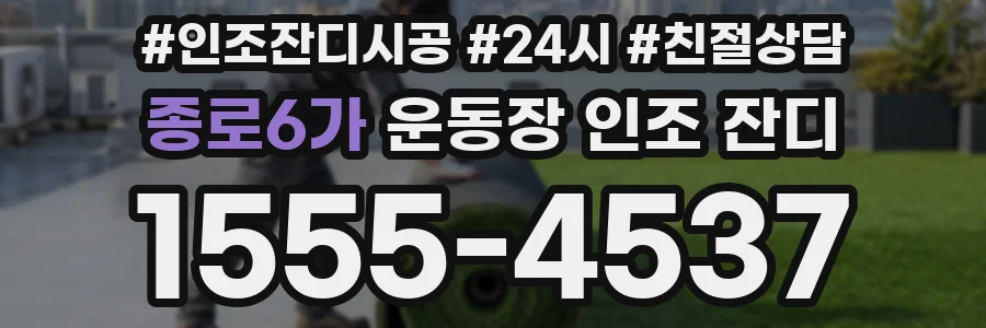종로6가 운동장 인조 잔디