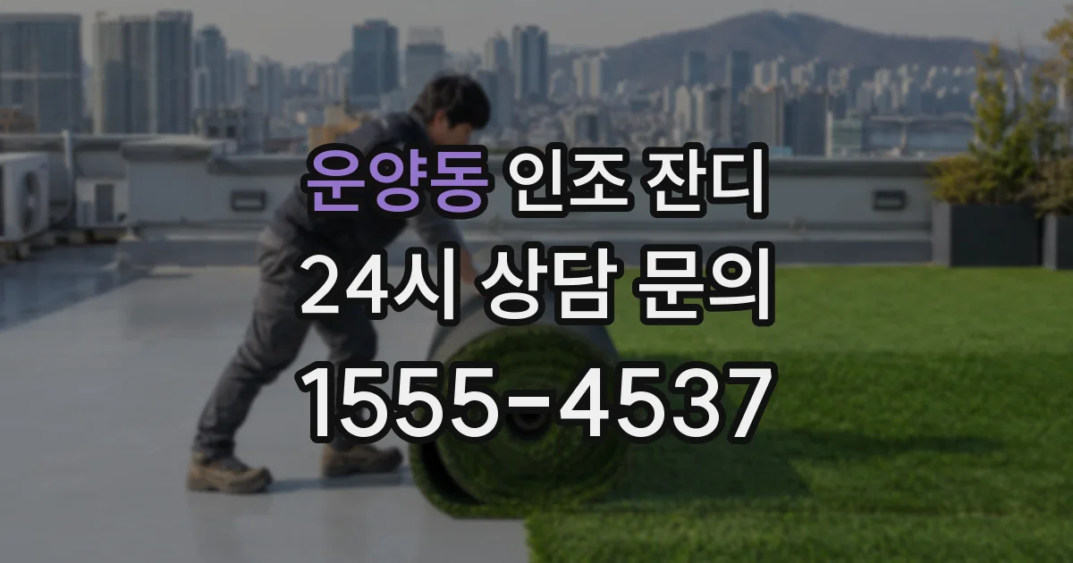 운양동 인조 잔디