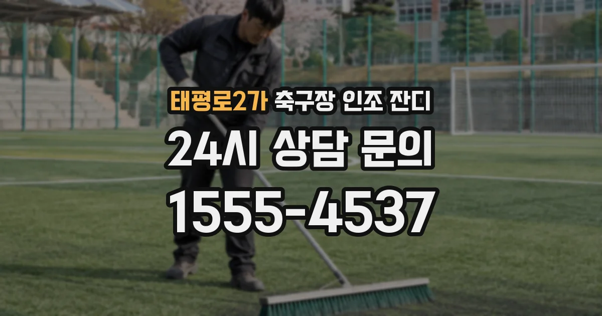 태평로2가 축구장 인조 잔디