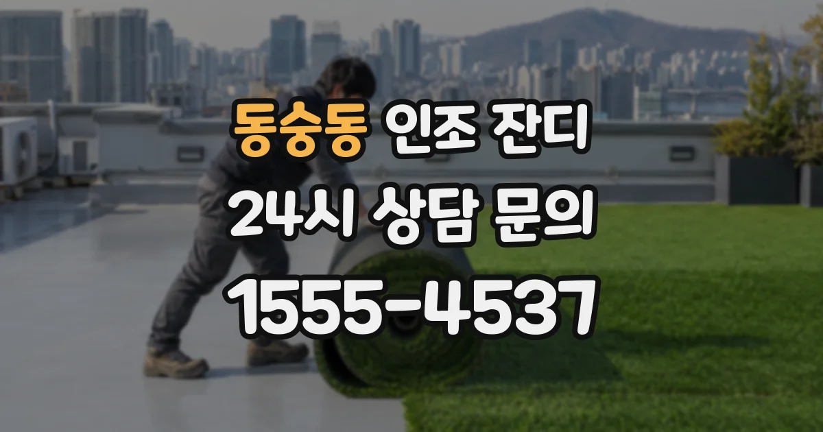 동숭동 인조 잔디