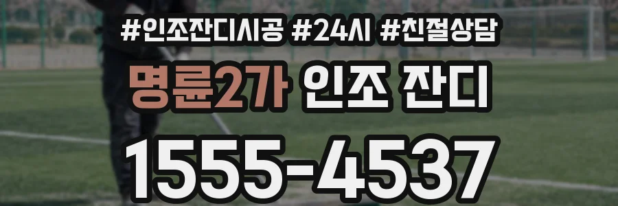 명륜2가 인조 잔디