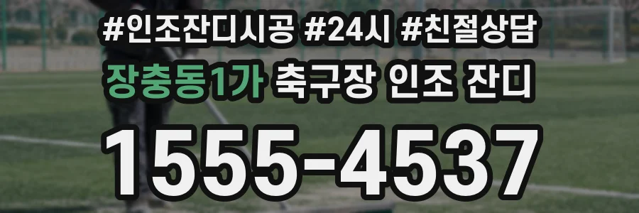 장충동1가 축구장 인조 잔디