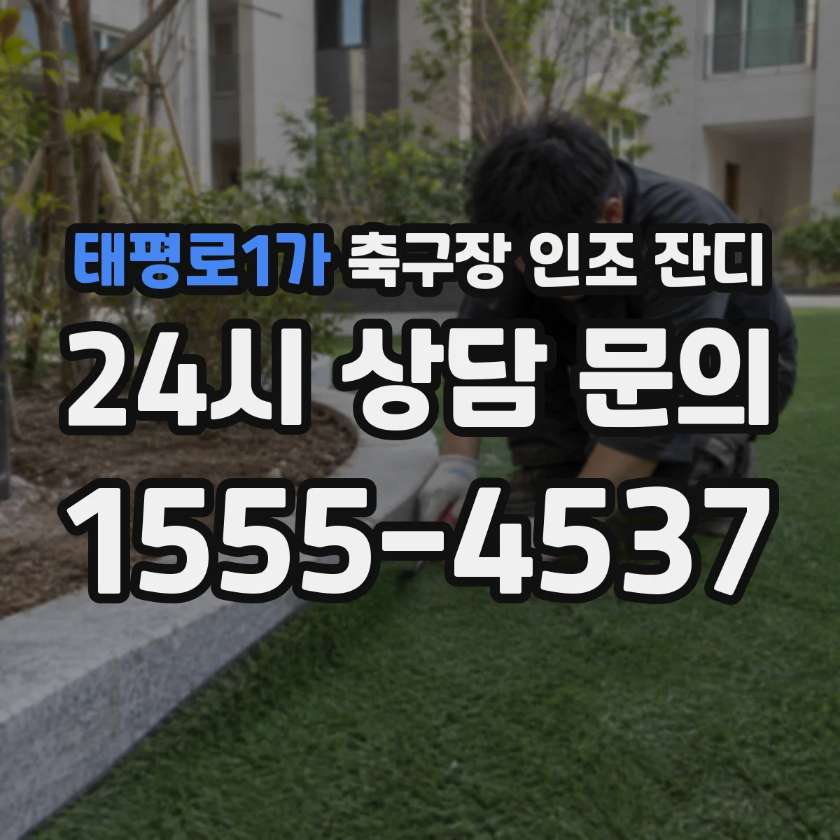 태평로1가 축구장 인조 잔디