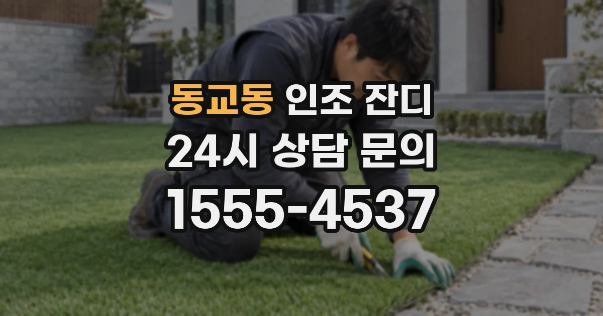 동교동 인조 잔디