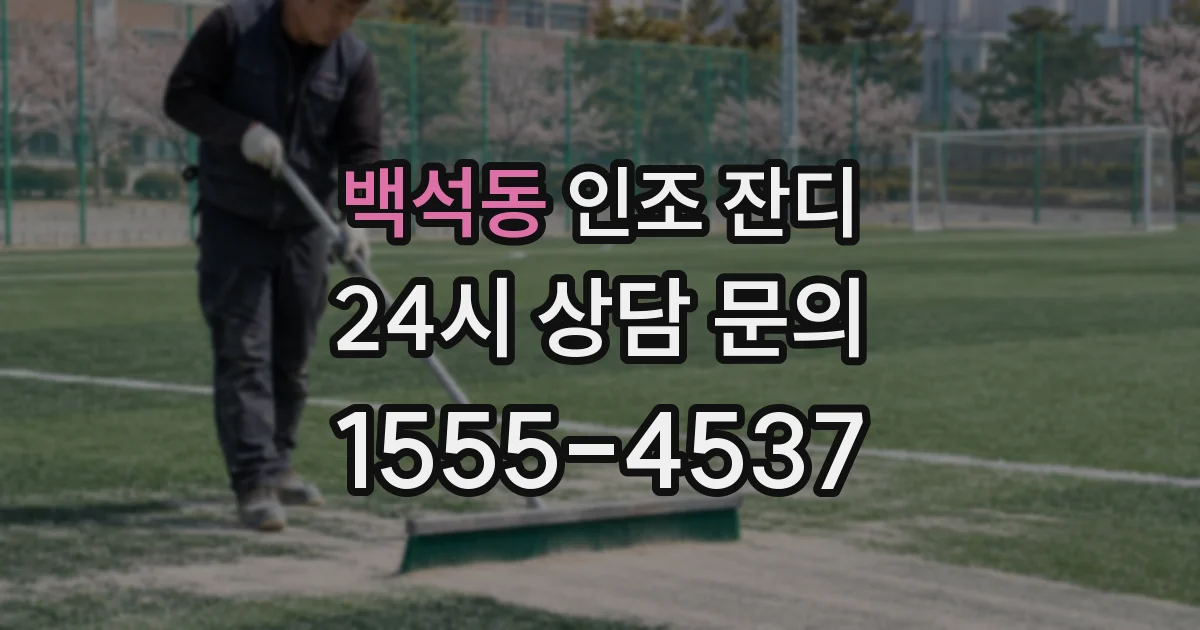 백석동 인조 잔디