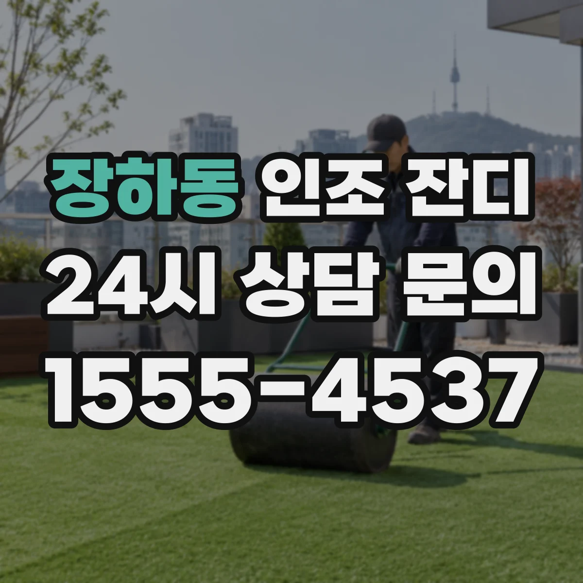 장하동 인조 잔디