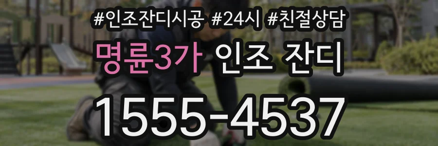 명륜3가 인조 잔디