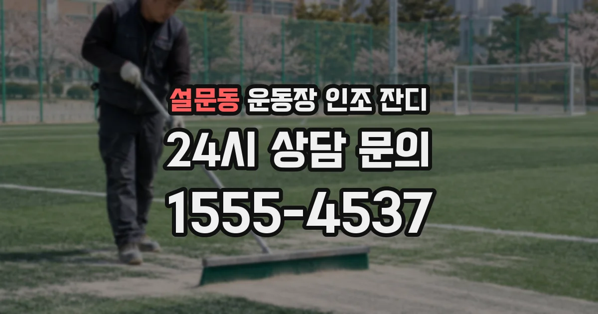 설문동 운동장 인조 잔디