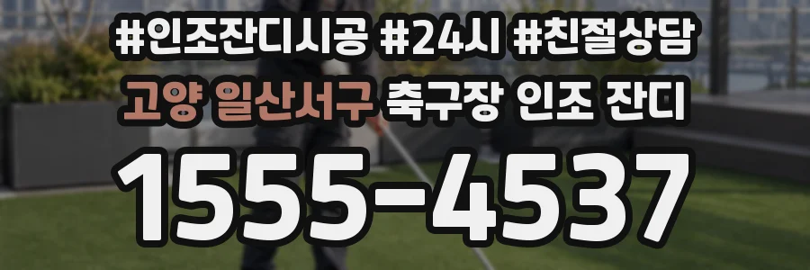 고양 일산서구 축구장 인조 잔디