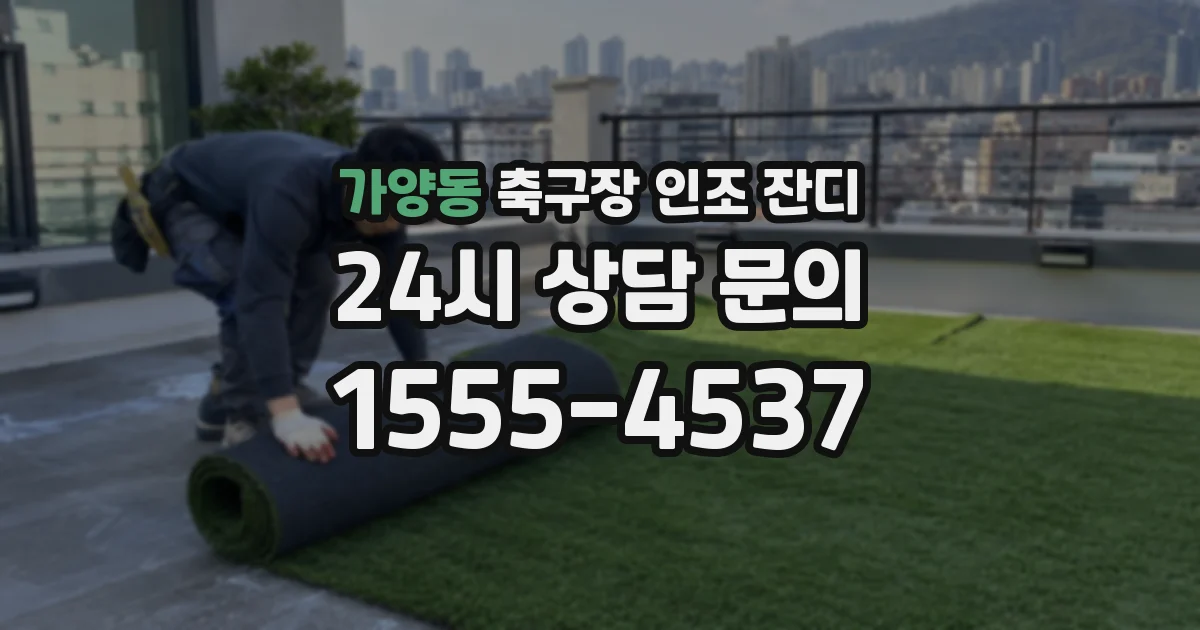 가양동 축구장 인조 잔디