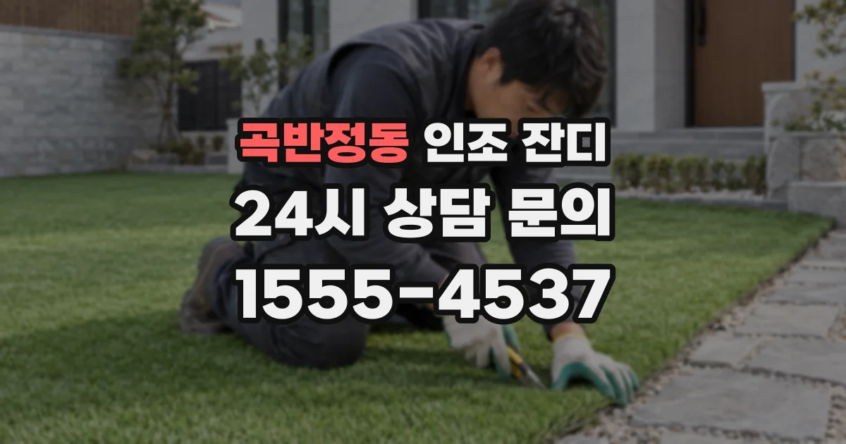 곡반정동 인조 잔디
