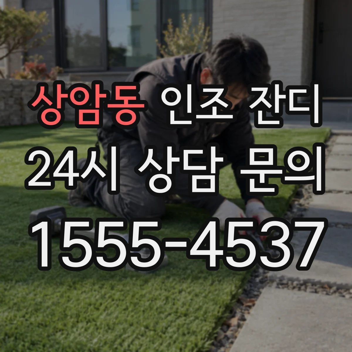 상암동 인조 잔디