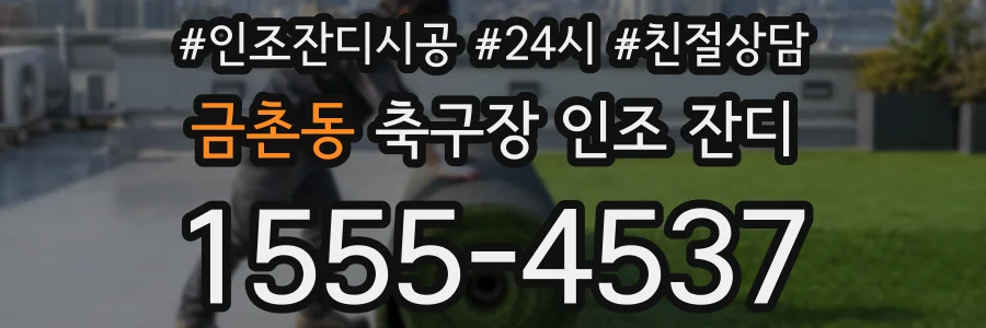 금촌동 축구장 인조 잔디