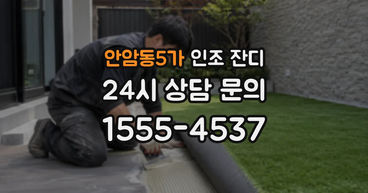 안암동5가 인조 잔디