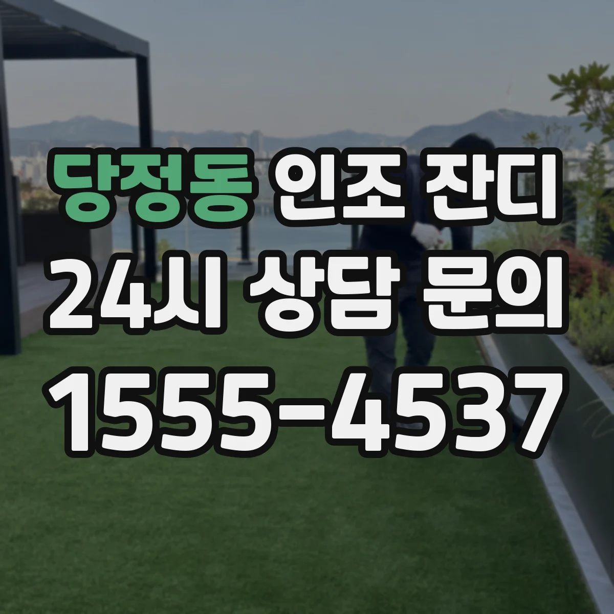 당정동 인조 잔디