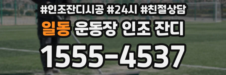 일동 운동장 인조 잔디