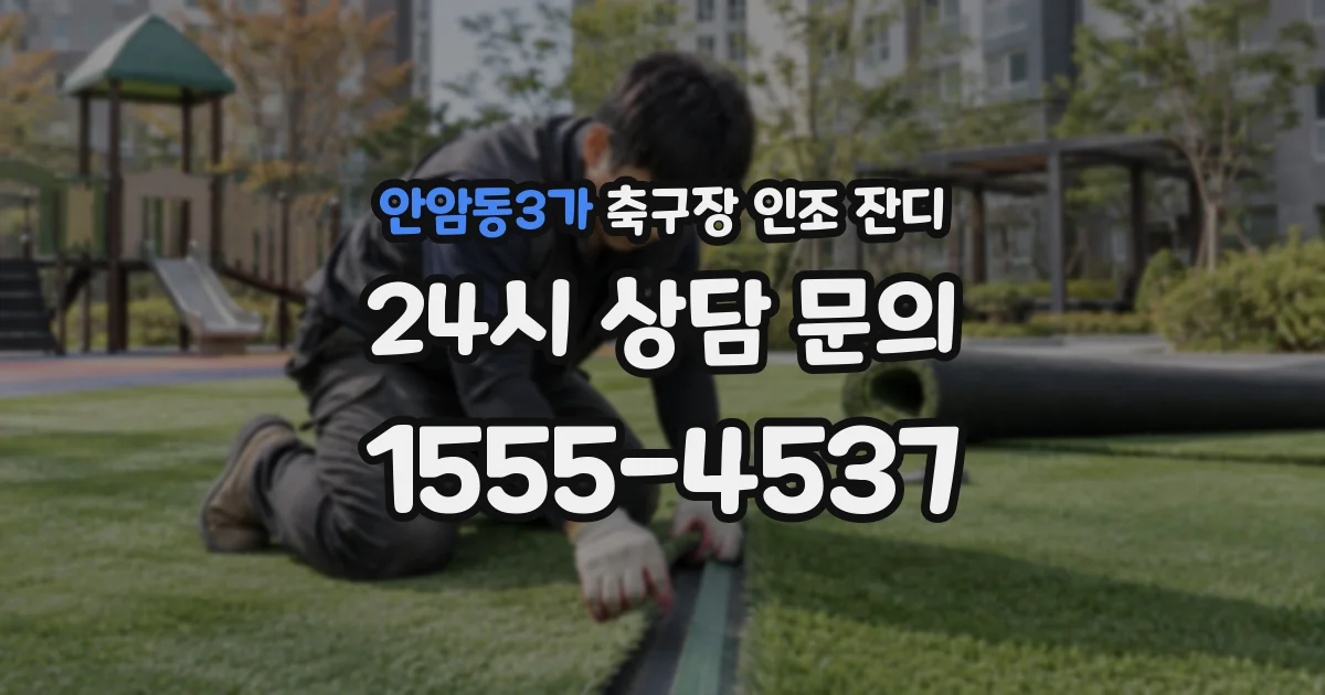 안암동3가 축구장 인조 잔디