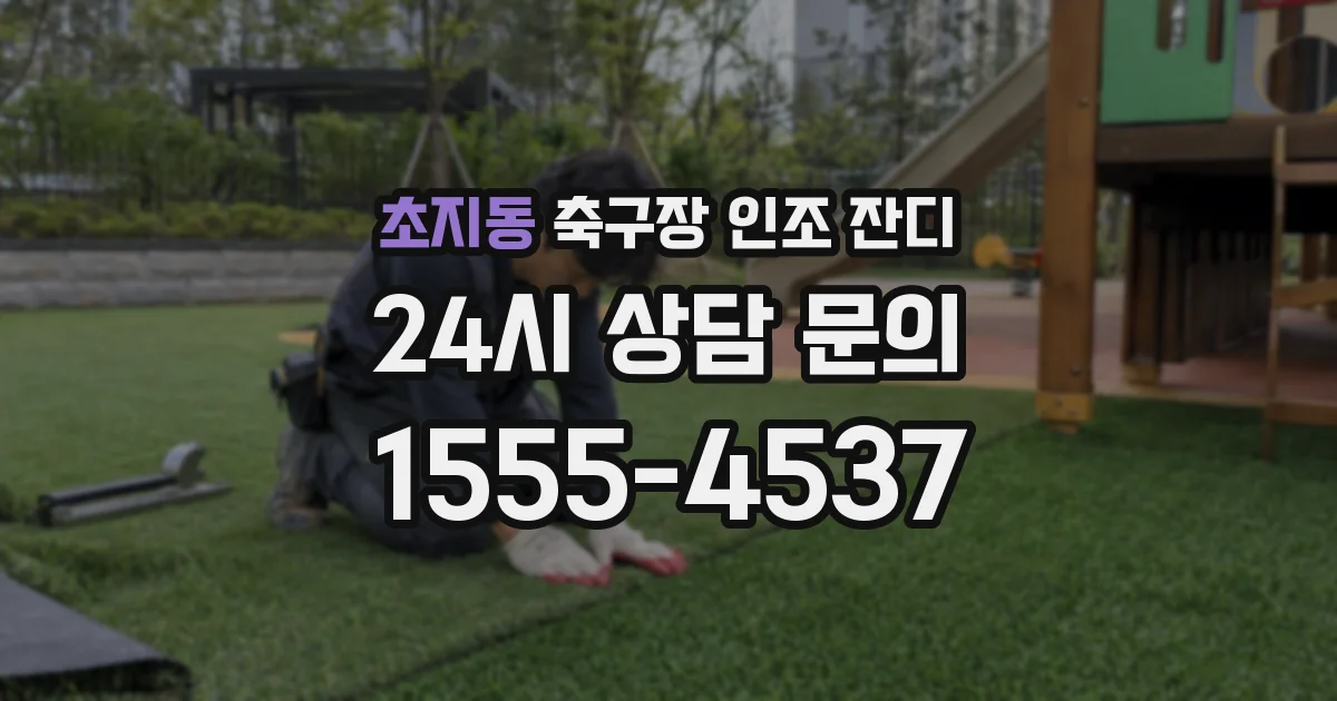 초지동 축구장 인조 잔디