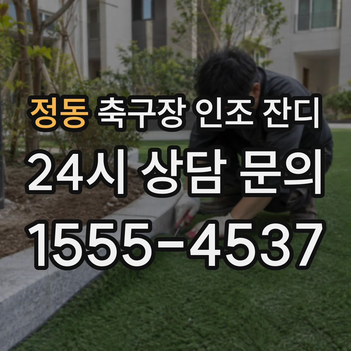 정동 축구장 인조 잔디