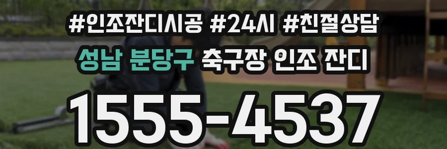 성남 분당구 축구장 인조 잔디