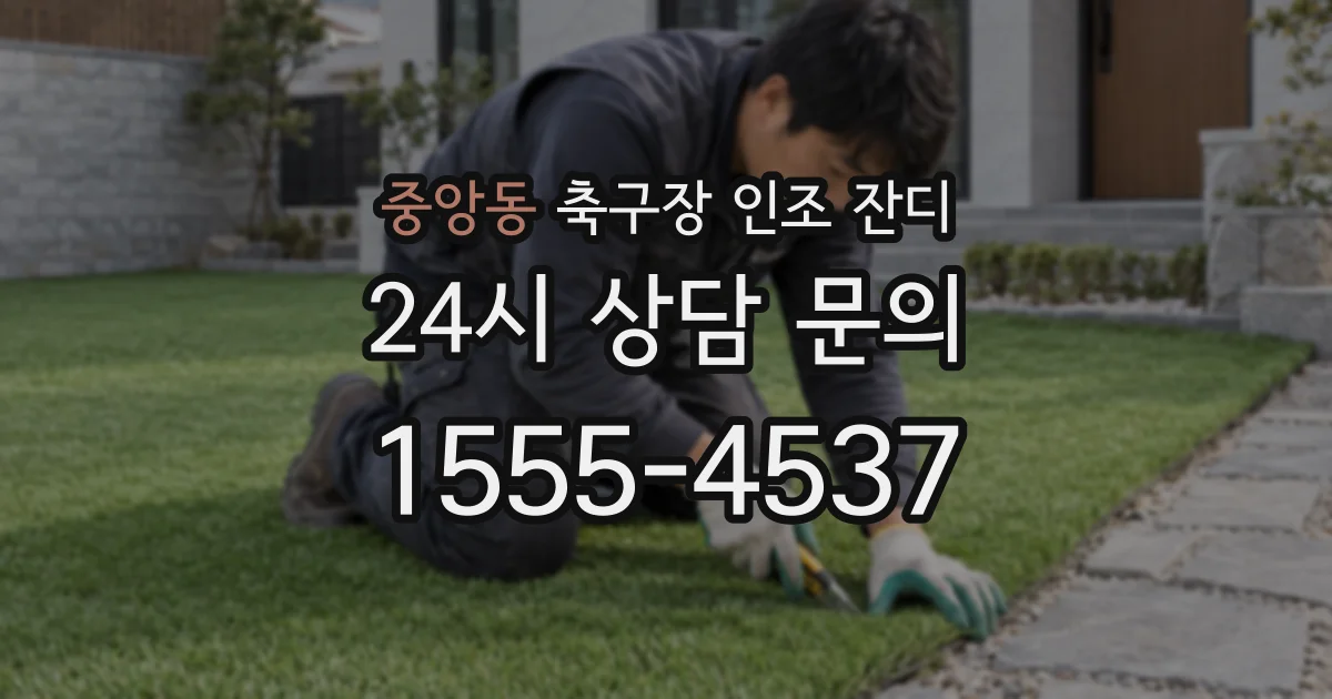 중앙동 축구장 인조 잔디