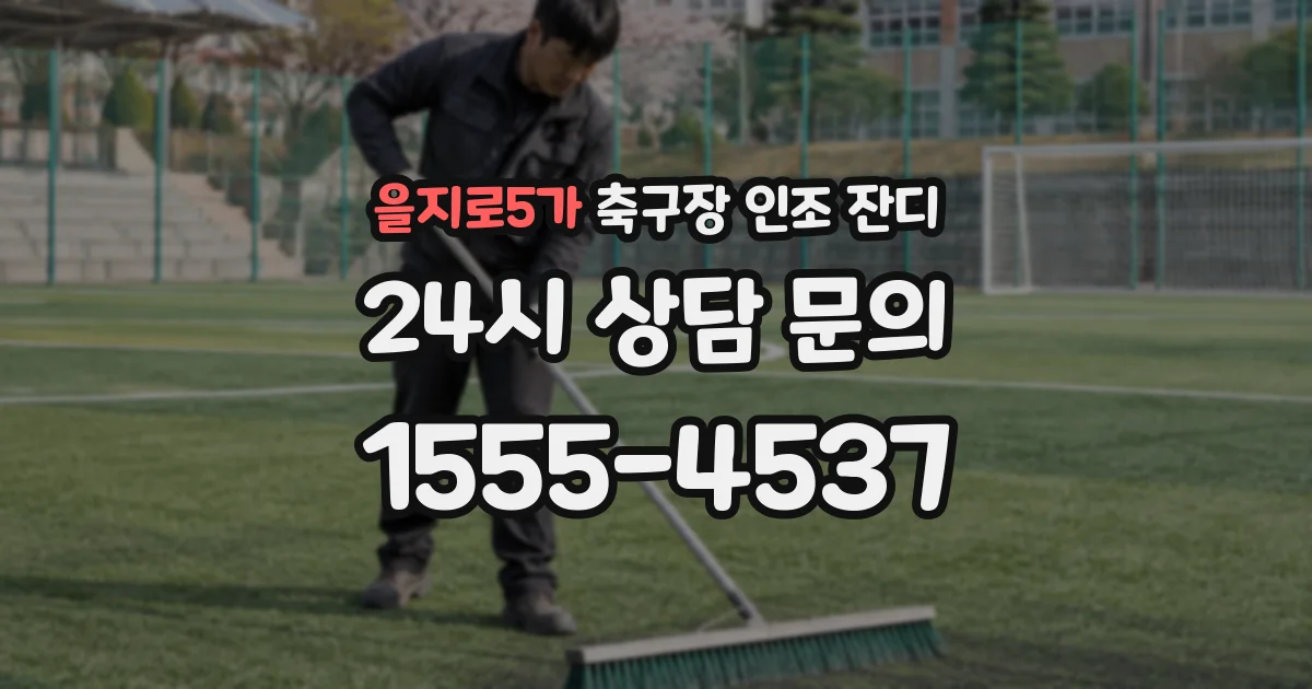 을지로5가 축구장 인조 잔디
