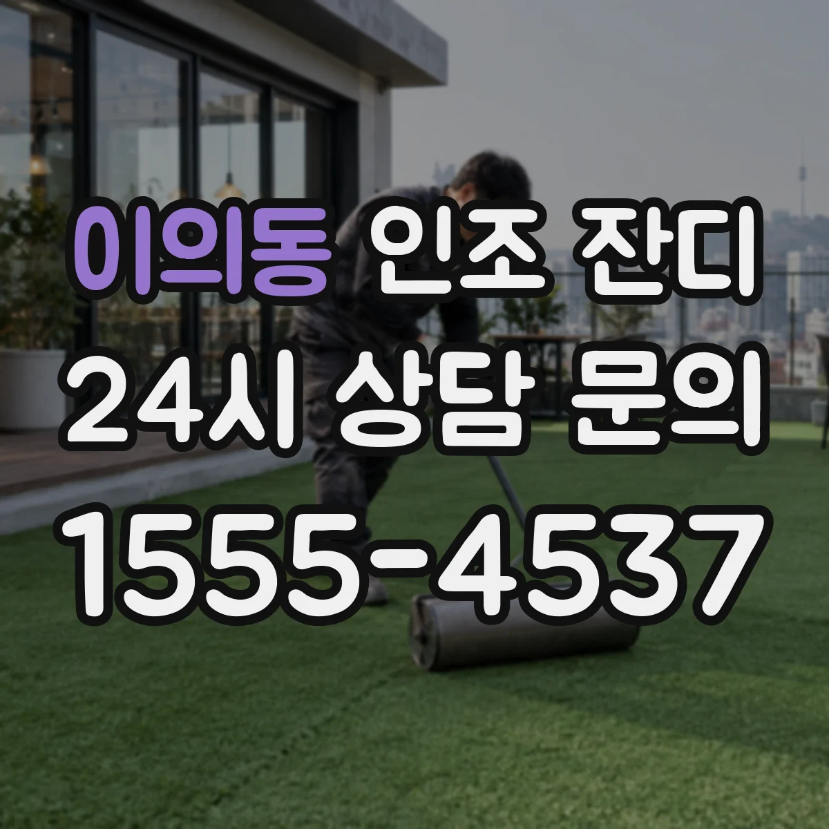 이의동 인조 잔디