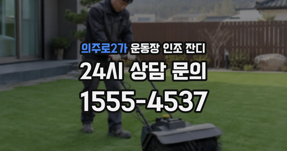 의주로2가 운동장 인조 잔디