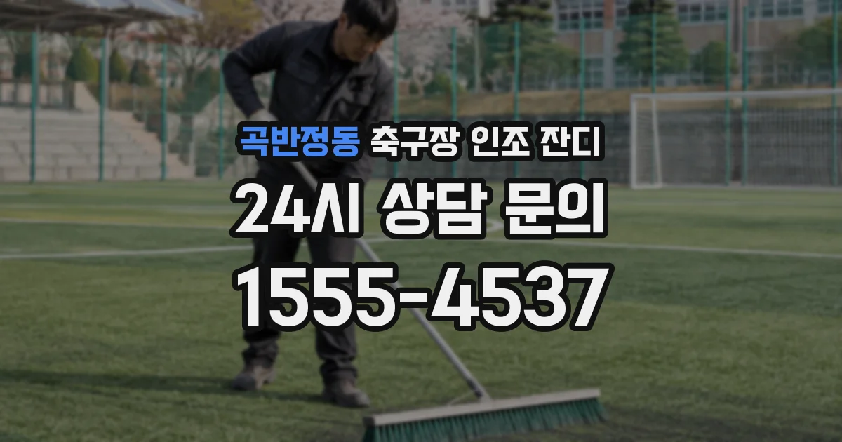 곡반정동 축구장 인조 잔디