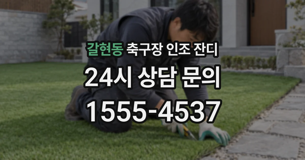 갈현동 축구장 인조 잔디