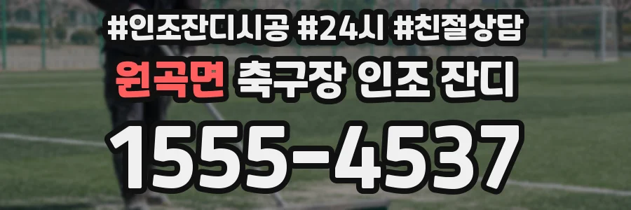 원곡면 축구장 인조 잔디