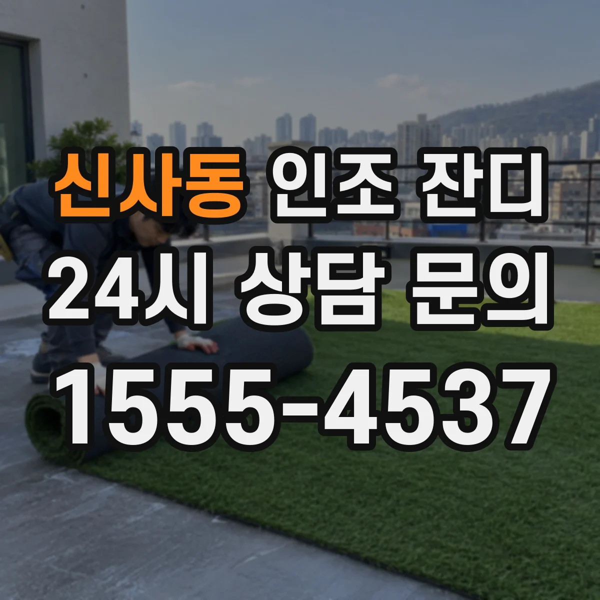 신사동 인조 잔디