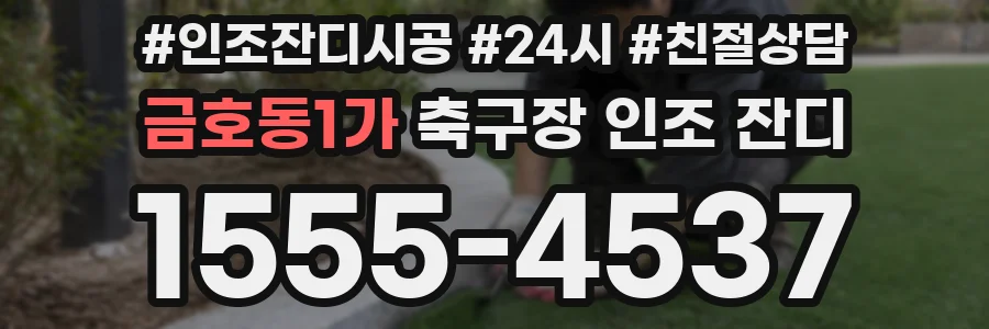 금호동1가 축구장 인조 잔디